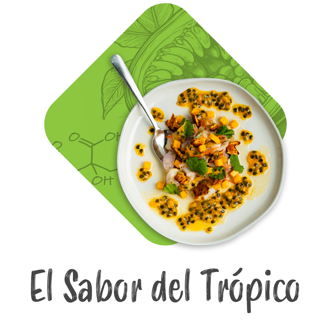 El Sabor del Trópico