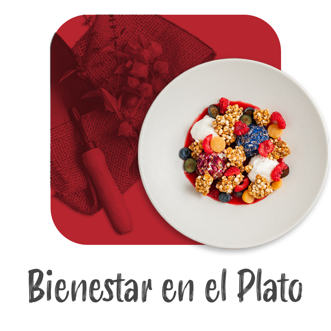Bienestar en el Plato
